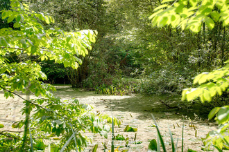 Ma-Cabane - Vente Maison DAX, 533 m²