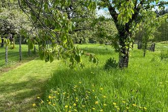 Ma-Cabane - Vente Maison Domecy-sur-Cure, 124 m²