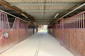 Ma-Cabane - Vente Maison Eauze, 330 m²