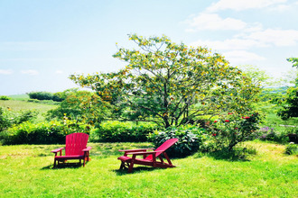 Ma-Cabane - Vente Maison GARRIGUES, 252 m²