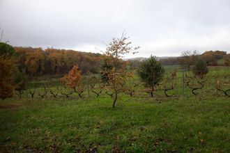 Ma-Cabane - Vente Maison Grand-Brassac, 190 m²