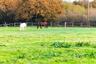 Ma-Cabane - Vente Maison Grenade-sur-l'Adour, 605 m²