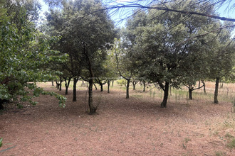 Ma-Cabane - Vente Maison Grignan, 185 m²