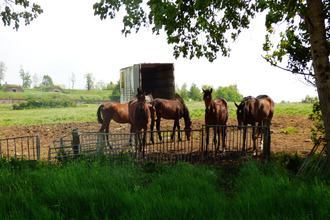 Ma-Cabane - Vente Maison Haute-Amance, 230 m²