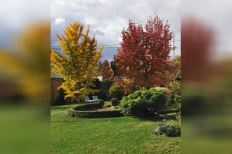 Ma-Cabane - Vente Maison Ingwiller, 500 m²