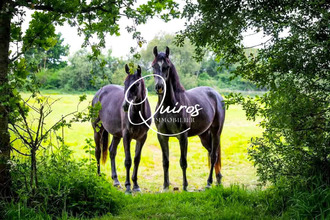 Ma-Cabane - Vente Maison Isigny-sur-Mer, 160 m²