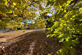 Ma-Cabane - Vente Maison L'ILE-ROUSSE, 409 m²