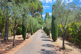 Ma-Cabane - Vente Maison L'Isle-sur-la-Sorgue, 180 m²