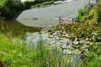 Ma-Cabane - Vente Maison La Caillère-Saint-Hilaire, 80 m²