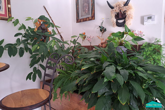 Ma-Cabane - Vente Maison LA LIMOUZINIERE, 125 m²