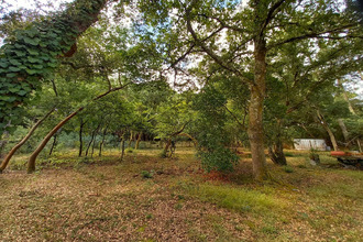 Ma-Cabane - Vente Maison Labenne, 187 m²