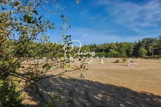 Ma-Cabane - Vente Maison Lamotte-Beuvron, 300 m²