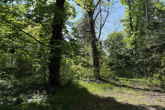 Ma-Cabane - Vente Maison Le Vésinet, 320 m²