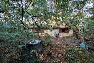 Ma-Cabane - Vente Maison LEGE-CAP-FERRET, 177 m²