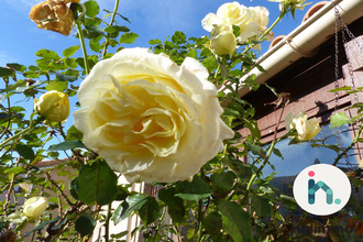 Ma-Cabane - Vente Maison Les Mées, 90 m²