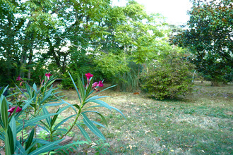 Ma-Cabane - Vente Maison LISLE-SUR-TARN, 400 m²