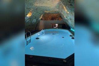 Ma-Cabane - Vente Maison LUSSAULT-SUR-LOIRE, 500 m²