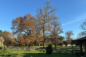 Ma-Cabane - Vente Maison Luxey, 245 m²