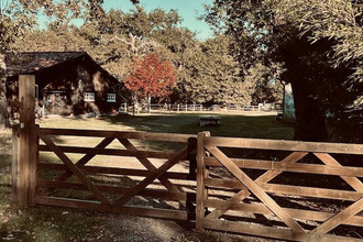 Ma-Cabane - Vente Maison Luxey, 220 m²