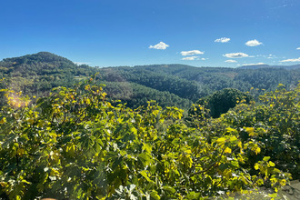 Ma-Cabane - Vente Maison MALBOSC, 220 m²