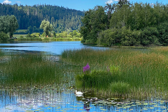 Ma-Cabane - Vente Maison MALBUISSON, 355 m²