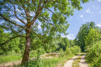 Ma-Cabane - Vente Maison MALBUISSON, 355 m²
