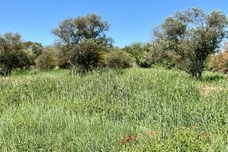 Ma-Cabane - Vente Maison MARSEILLAN, 152 m²