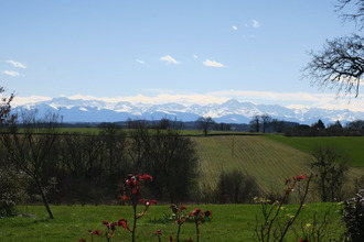 Ma-Cabane - Vente Maison Mirande, 771 m²