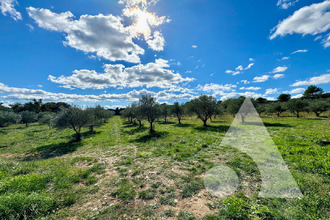 Ma-Cabane - Vente Maison MOISSAC-BELLEVUE, 640 m²