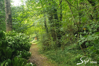 Ma-Cabane - Vente Maison Montfort-sur-Risle, 173 m²