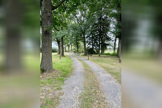 Ma-Cabane - Vente Maison Montrond-les-Bains, 325 m²