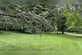 Ma-Cabane - Vente Maison Montsauche-les-Settons, 140 m²