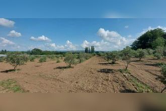 Ma-Cabane - Vente Maison MOURIES, 380 m²