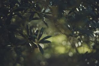 Ma-Cabane - Vente Maison Mouriès, 900 m²