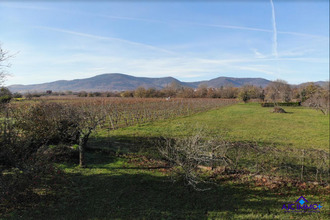 Ma-Cabane - Vente Maison Obernai, 339 m²