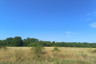 Ma-Cabane - Vente Maison ONZAIN, 366 m²