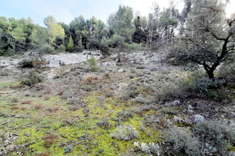 Ma-Cabane - Vente Maison Orgon, 196 m²