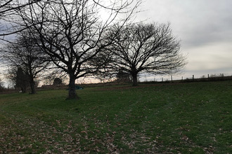 Ma-Cabane - Vente Maison PAGEAS, 195 m²