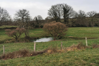 Ma-Cabane - Vente Maison PAGEAS, 195 m²