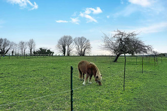 Ma-Cabane - Vente Maison PARIGNE-L'EVEQUE, 263 m²