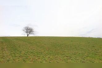 Ma-Cabane - Vente Maison Paulinet, 240 m²