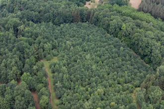 Ma-Cabane - Vente Maison PERIGUEUX, 560 m²
