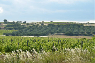 Ma-Cabane - Vente Maison PEZENAS, 1300 m²