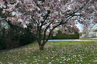Ma-Cabane - Vente Maison PIREY, 197 m²
