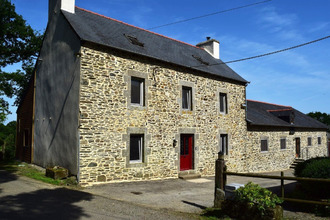 Ma-Cabane - Vente Maison PLUSSULIEN, 360 m²