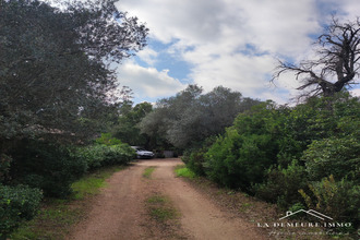 Ma-Cabane - Vente Maison Porto-Vecchio, 50 m²