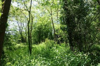 Ma-Cabane - Vente Maison Pugnac, 330 m²