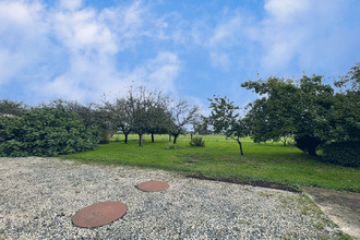 Ma-Cabane - Vente Maison RACINES, 200 m²