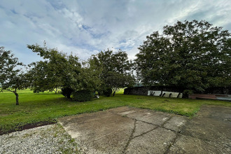 Ma-Cabane - Vente Maison RACINES, 200 m²