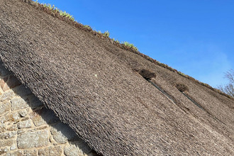 Ma-Cabane - Vente Maison RIEC-SUR-BELON, 345 m²